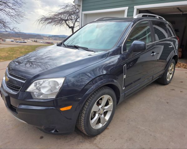 auction image